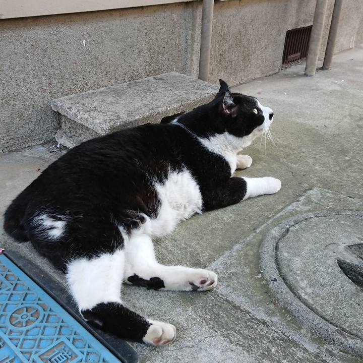 4eff0c00 3e81 4648 8341 4e72a8648bd8 1623727923740