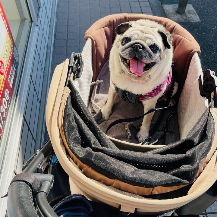 4eff5412 a1b3 46ae bb87 ca6945aaaaca 1763797536591