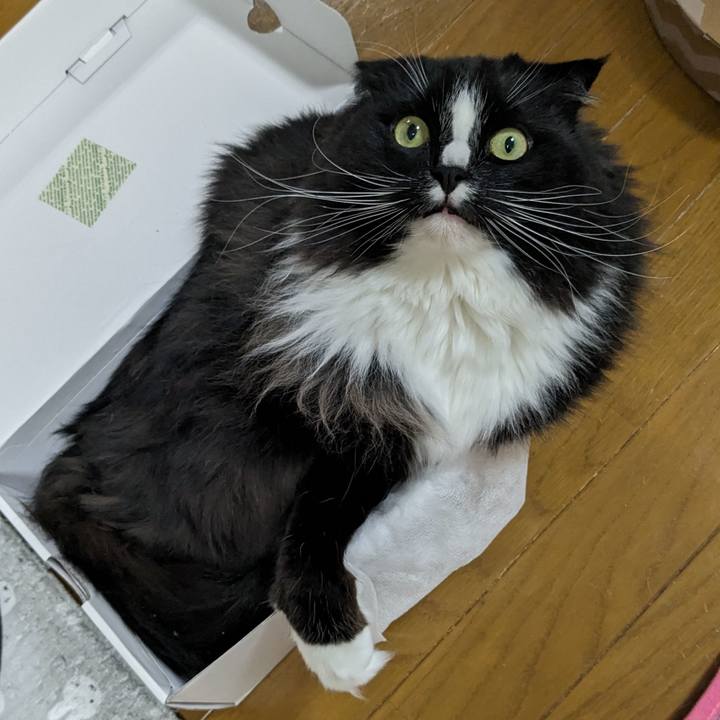 4eff80e5 b26c 4771 9f52 0a1fe1853574 1712660066932