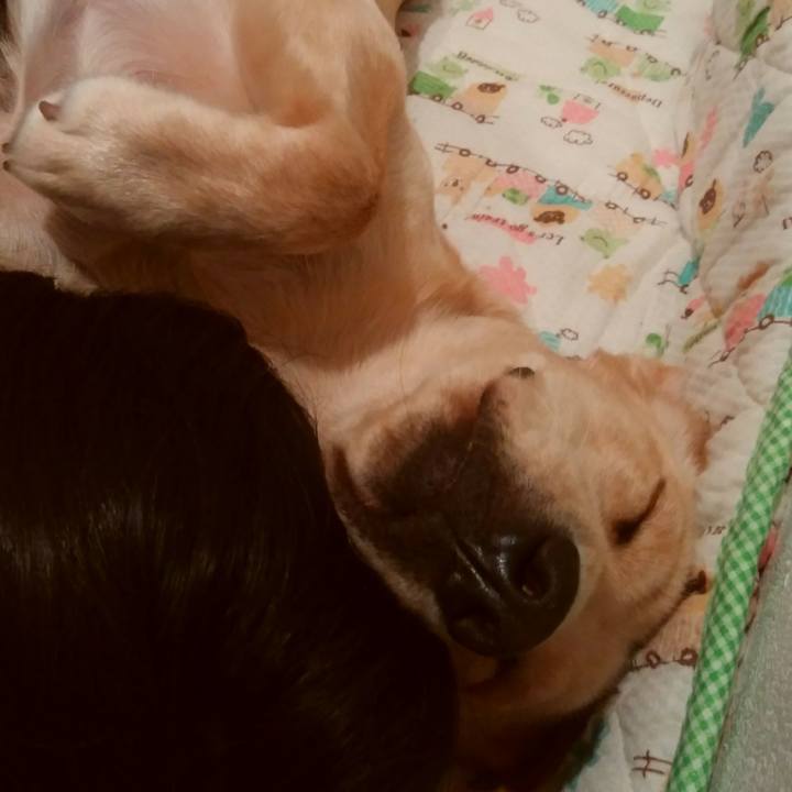 4efff6cf 77c0 4398 b573 b85dc1185960 1508677310087