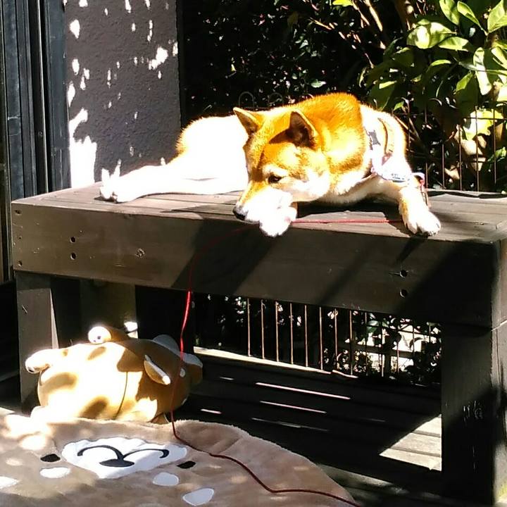 4f000f3e 0645 4711 906c 79243c9de27a 1519875376505