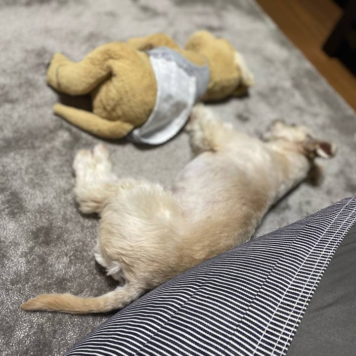 4f002384 04cc 4090 a9b3 9373a4c15807 1608299659672