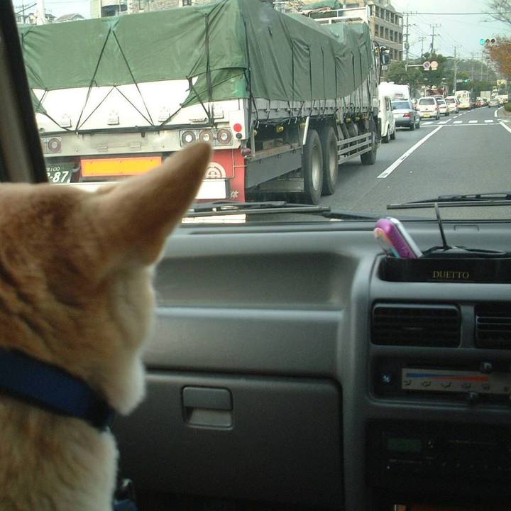 4f00308b 7d72 4e46 93e5 3684480e3962 1607946822472