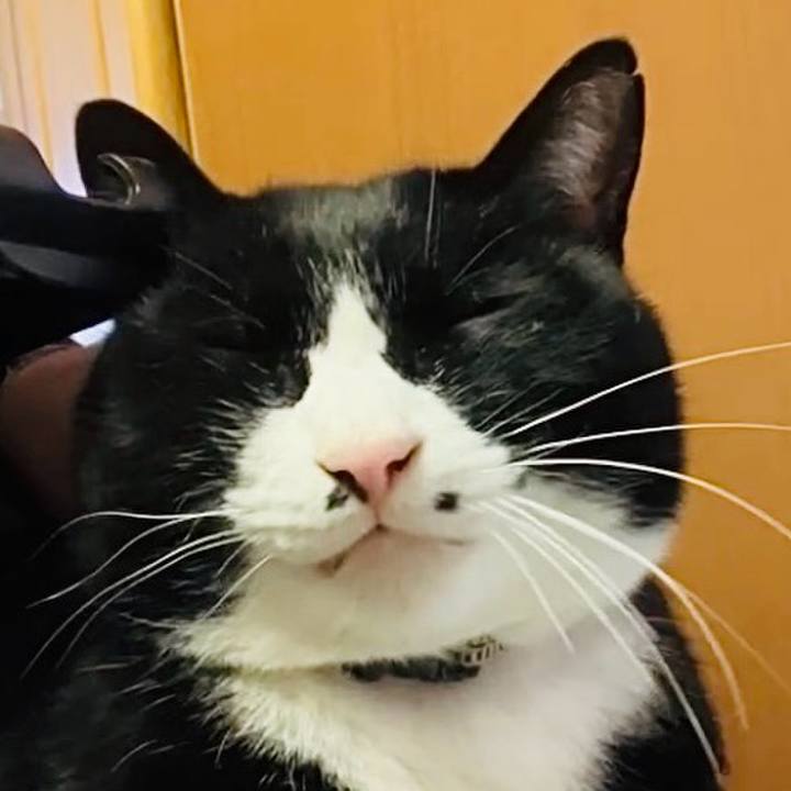 4f0047ca 42a6 4dc2 9bf6 4ef8328eb7f2 1742434924923