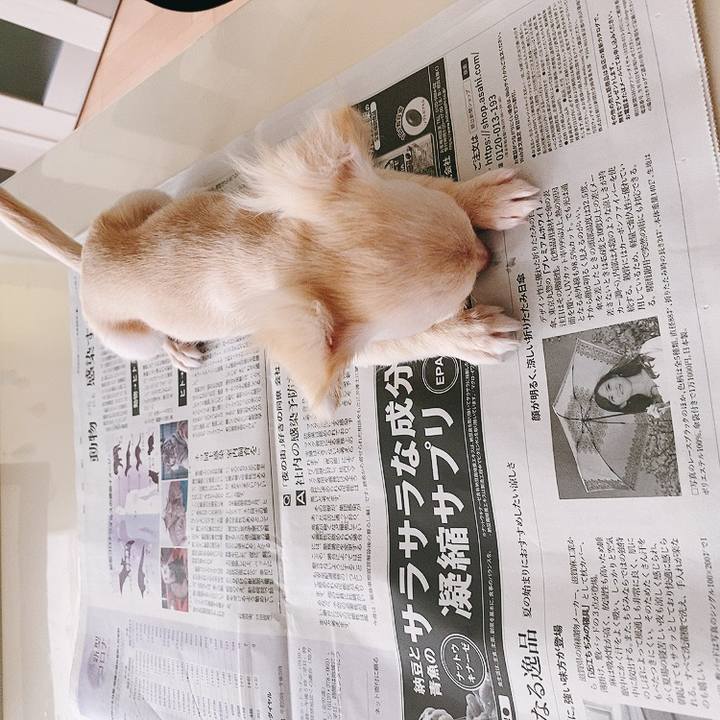 4f005b85 1eb7 466e 91b2 cbf5cb8cda2a 1593148792902