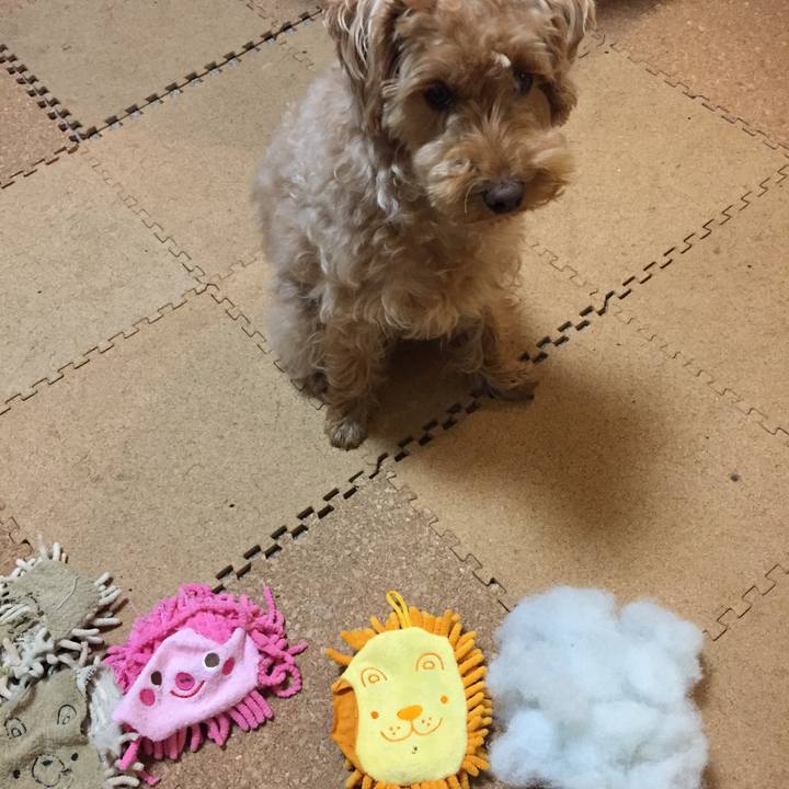 4f0082e2 5557 4062 acc1 4d7fb91e6067 1522573443318