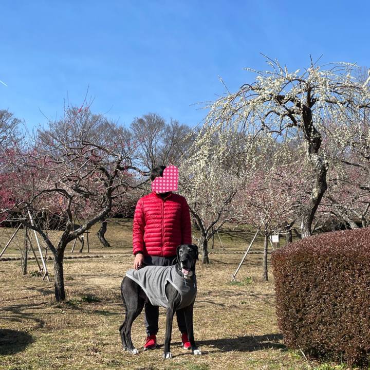 4f00fed2 e63c 4e78 955e 5d4782852dc1 1614480291443