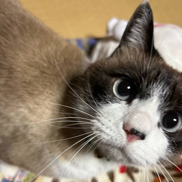 4f017239 db1e 4876 abe7 d32fcf1bd7f2 1764018524543