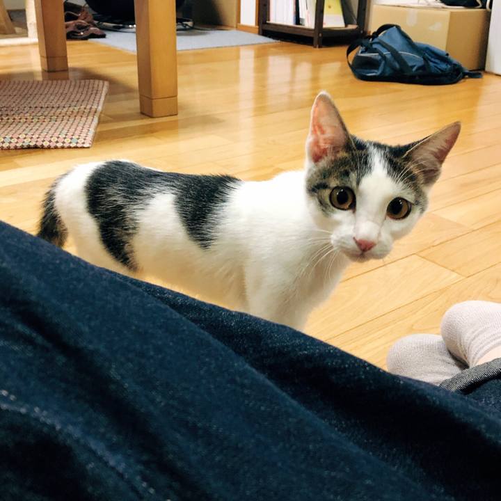 4f0192aa 7243 430a 98b6 a8bf7268fa6d 1570191143504