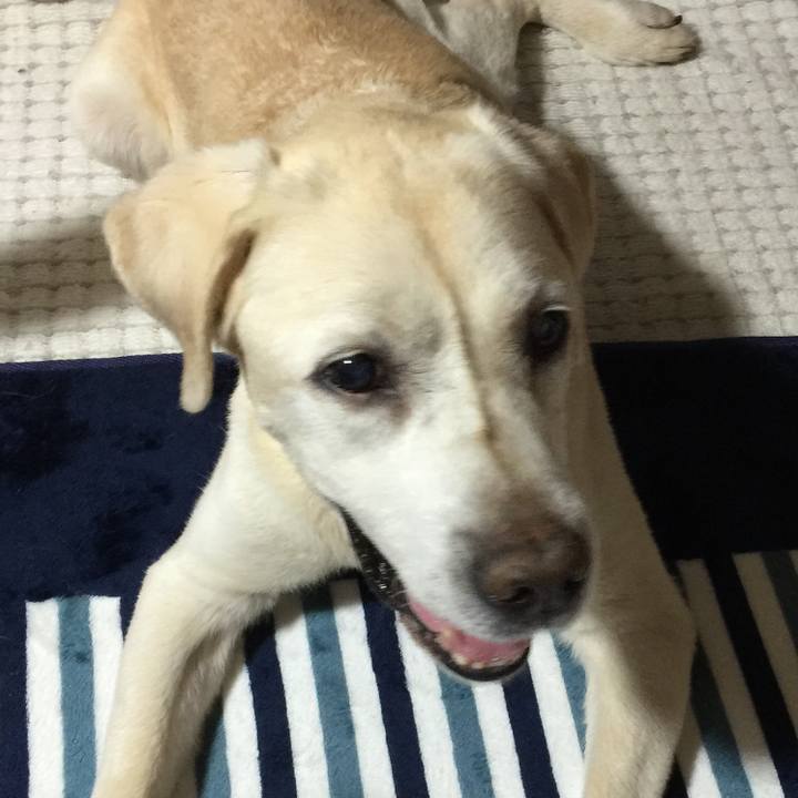 4f01cbac 1c8e 42a6 9152 1b00535baba7 1531133020290