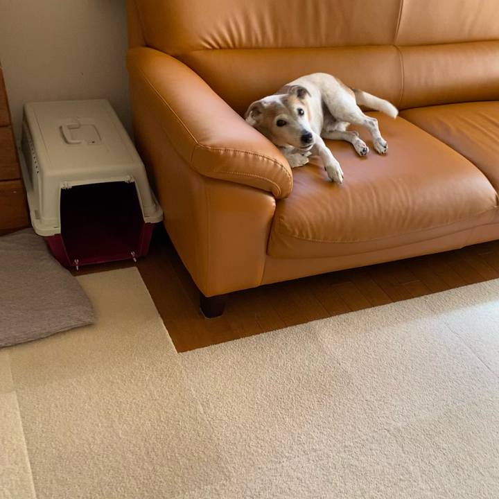 4f01d203 ec23 490f 9e44 f593628e2929 1633152805232