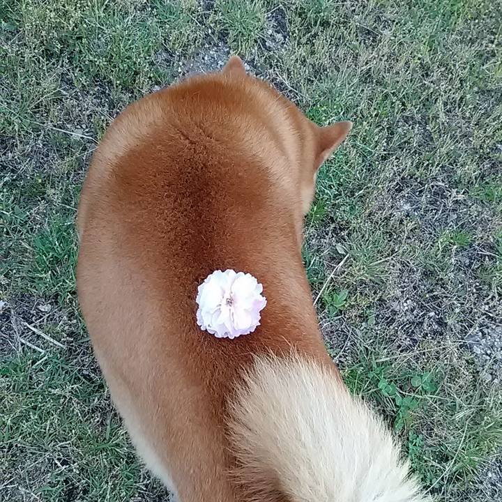 4f025eac cf27 4f67 ac8d b081fc8899ce 1650270690722