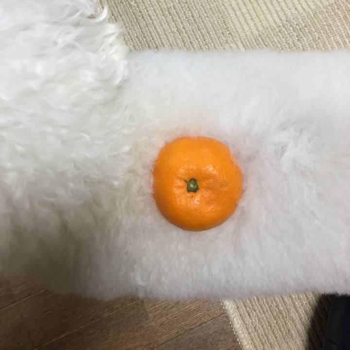 4f0271a1 cfa3 427a 9b51 ef4cc251c568 1546677716453