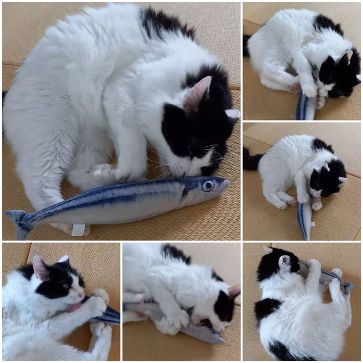 4f02b445 2ed5 4de1 be7c 56f49ebe0b53 1626262878854