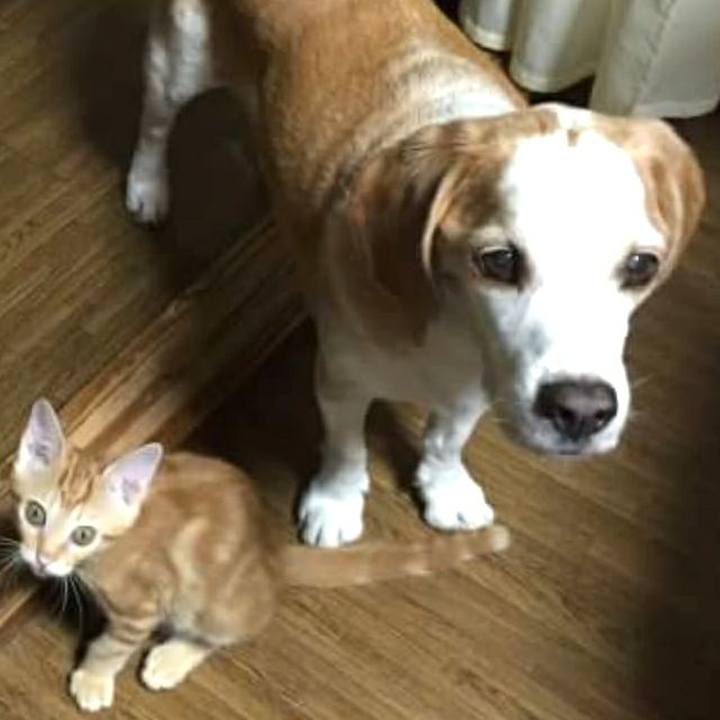 4f02c052 b2bc 4f12 9644 04ca51396953 1527115354401