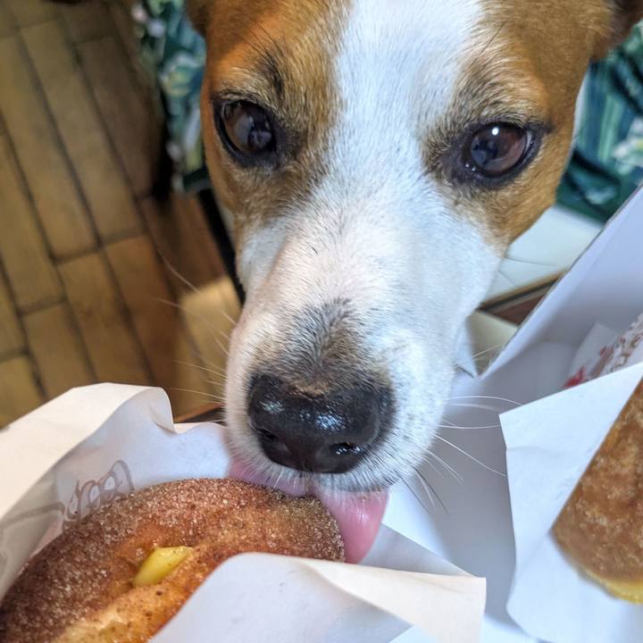 4f02d28c 4a17 42a9 83da 4e772c000f4b 1749290111084