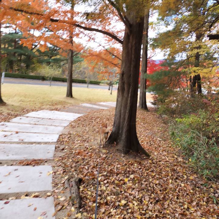 4f02de10 9801 44a7 983c 302710a7e35c 1732028492095