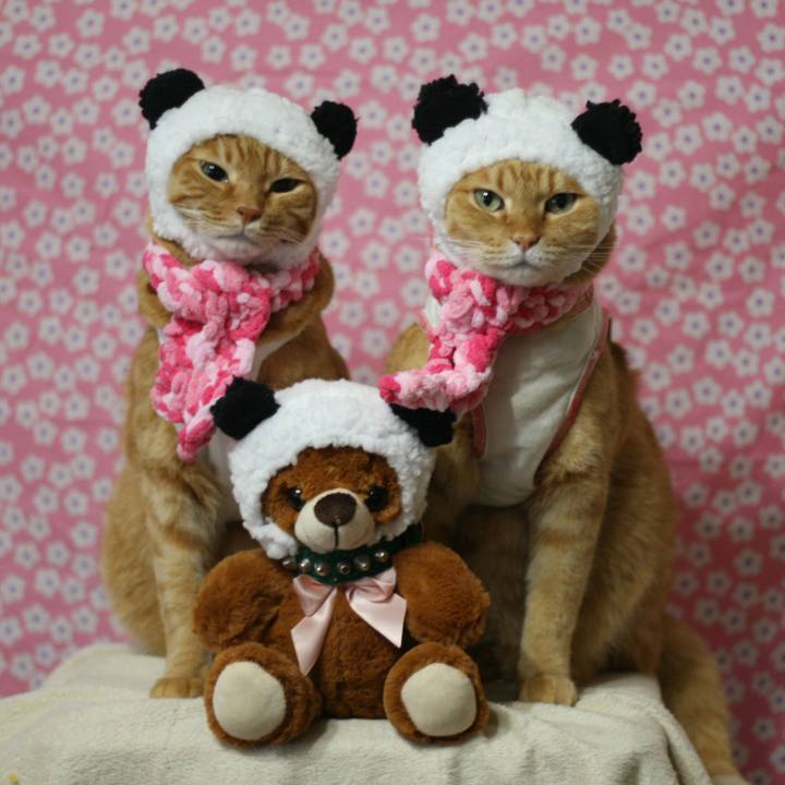 4f035645 5c8c 4b4d b662 a4d66a0df0a5 1515770403724