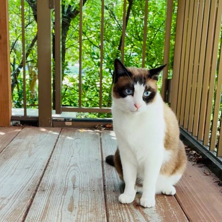 4f037887 5b0e 4df2 977e 69a72b24316f 1753238272817