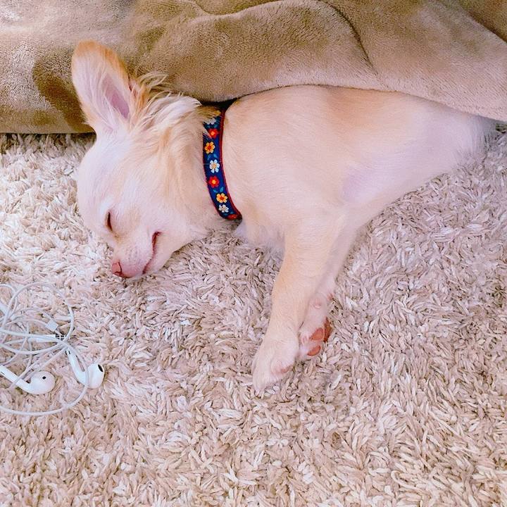 4f039617 7191 4a07 af54 c3ecad083f22 1632557954848