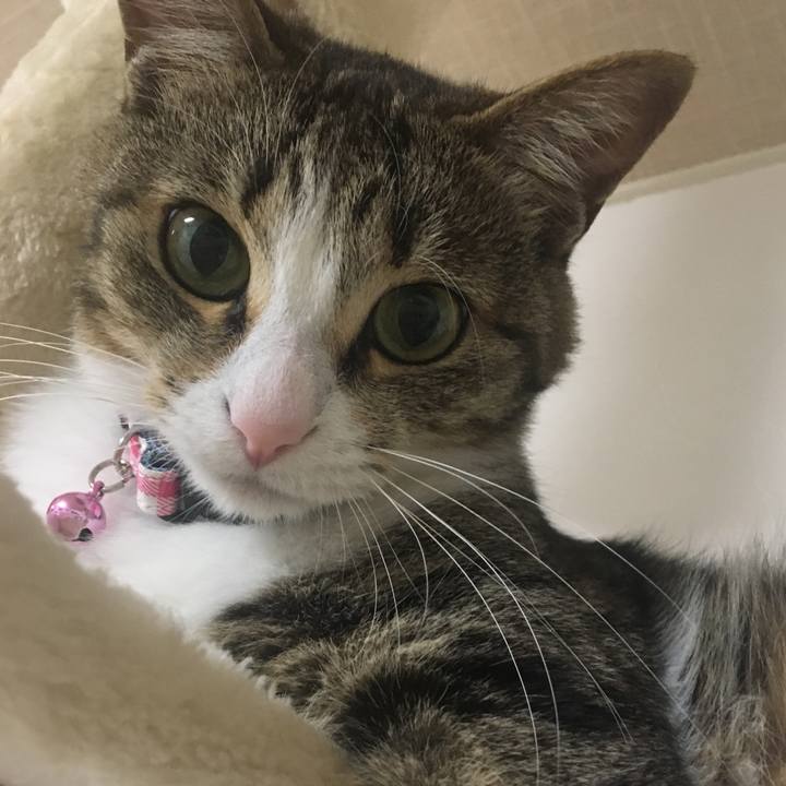 4f03f187 c8af 408b baf9 6b0cae1818ad 1692398813512