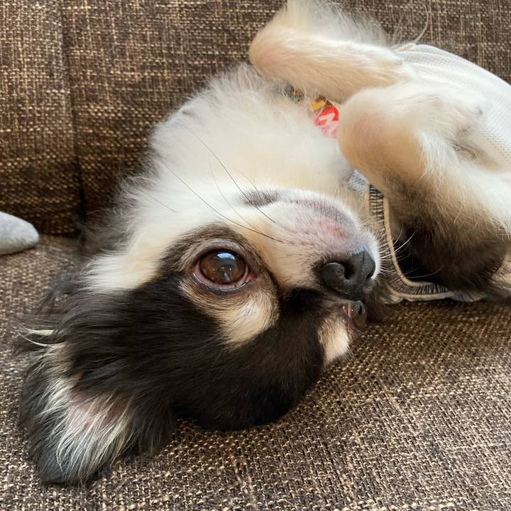 4f04d716 4db0 41f2 b6d6 a6e3b0cc9807 1719679243781