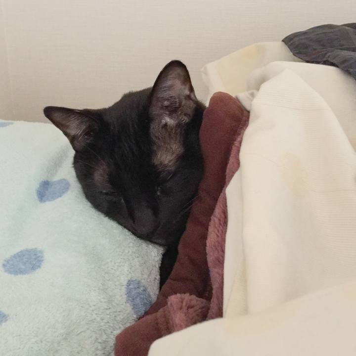 4f04d936 0bd5 4b5c 89a1 5fd2f22a0d6e 1515201078561