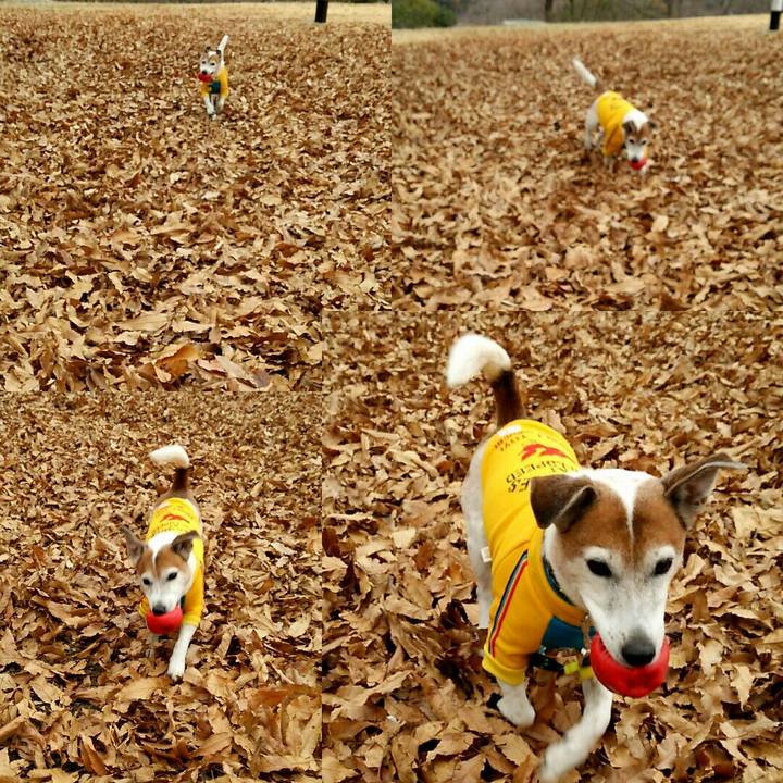 4f051cae 56f9 425d a26d 2bc3f2d914a4 1515935334507