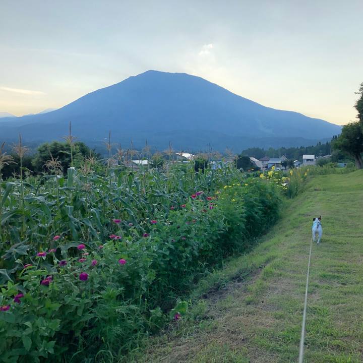 4f0535f1 01b8 492d b90d 6abc5f8d1ec0 1597842262348