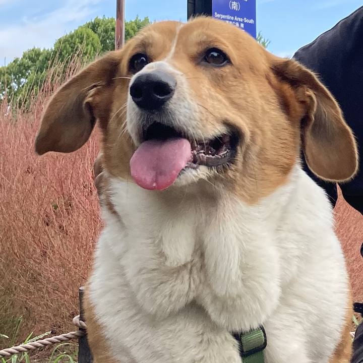 4f053892 3a15 48fb bfc5 3fbf0a06fb75 1758773177886