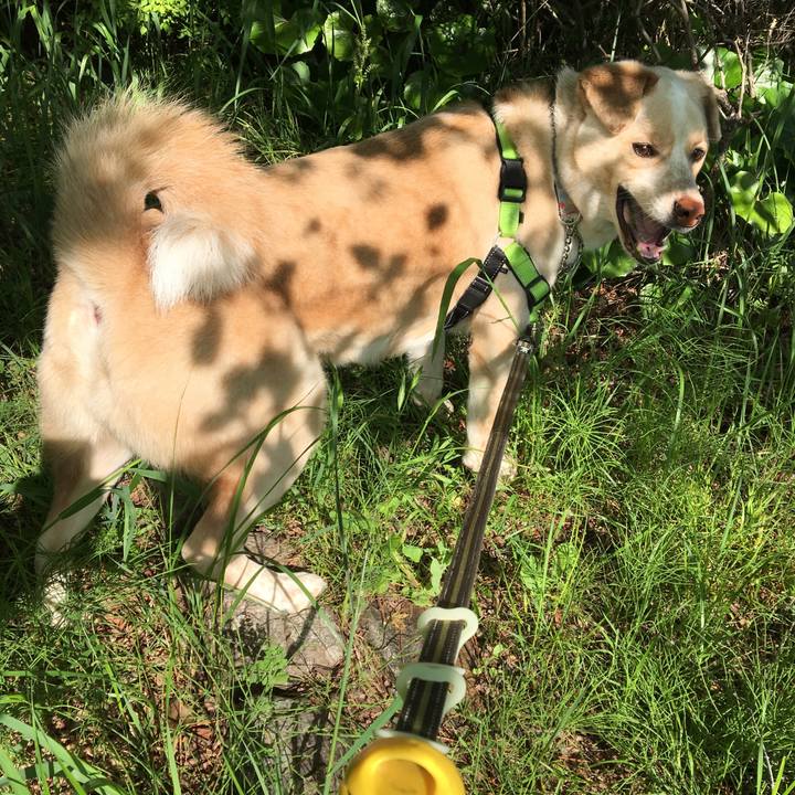 4f054948 cb4e 4437 9501 8e5e6e81565a 1524195382390