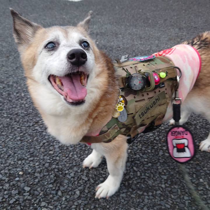 4f055072 3031 4b00 bc85 72a02e4d3aae 1723734246778