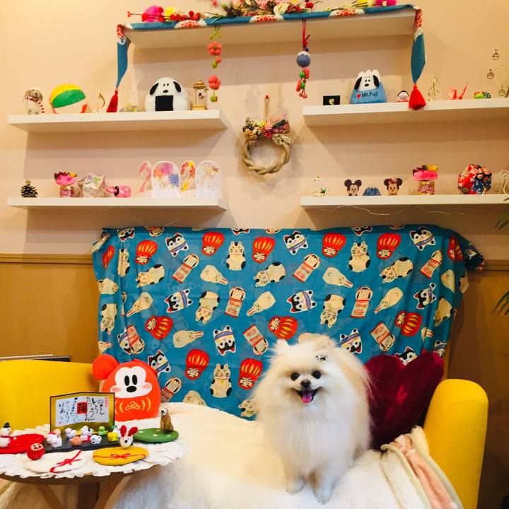 4f056323 301b 4240 843d 9bf6b426b49c 1577615440831