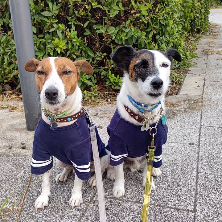 4f058851 fe7c 4cd4 ab74 5232cec7fa4c 1664748217905