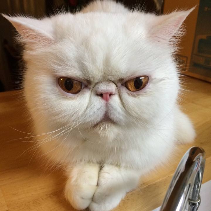 4f05a39b b5bf 4482 bfab 520f32c35164 1512988853969