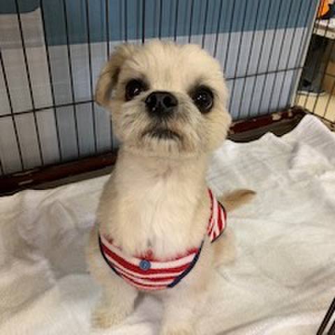 4f05aa68 0abf 4b95 a862 d59b0145371e 1552919231327