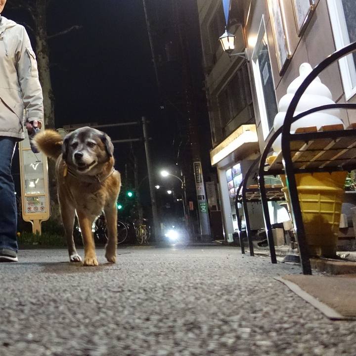 4f05bea9 b19e 41e1 9349 2d2646edc185 1555152194603