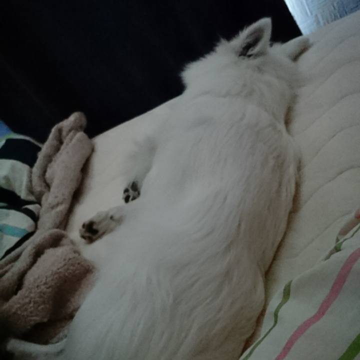 4f05e397 de64 489a a137 a217009d7304 1522205210001