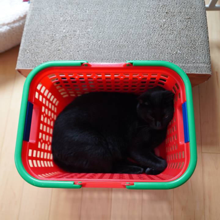 4f05f434 25b2 473a 8cc6 49b90b92a7ee 1594219223870