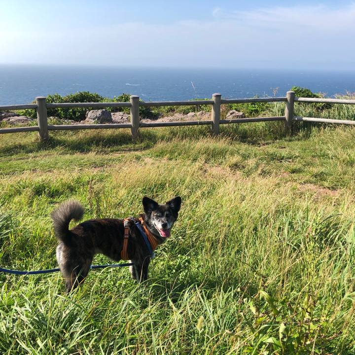 4f05fafe e8fa 4242 912d 5fc1edb5ad45 1663240054205