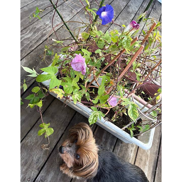 4f060744 31fe 40b2 8495 c4e29c4bfee6 1728774142934