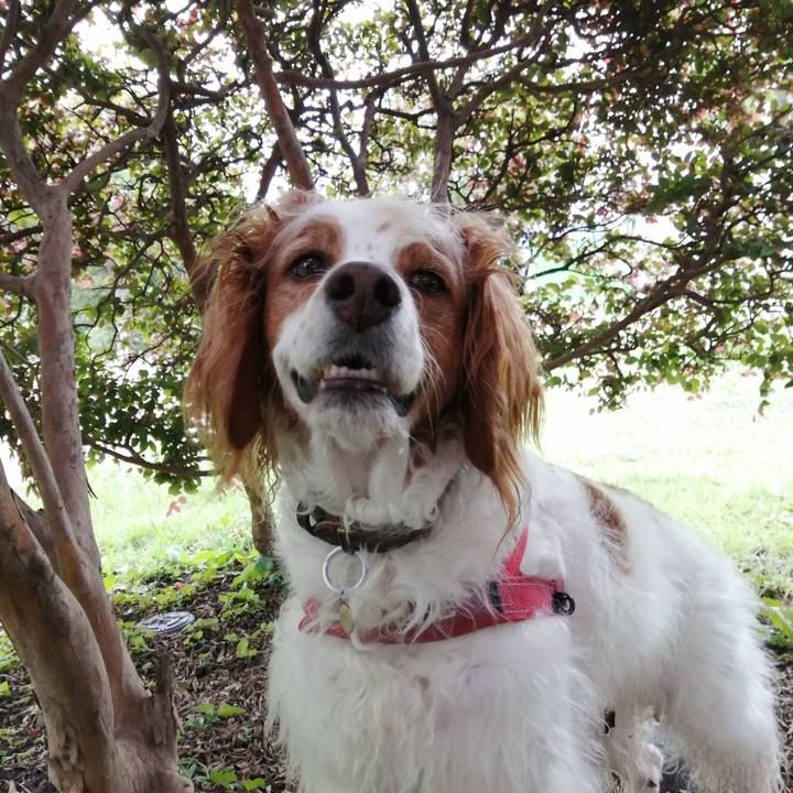 4f063676 a8b0 4aa9 b098 fe30b9f665b7 1624779974422