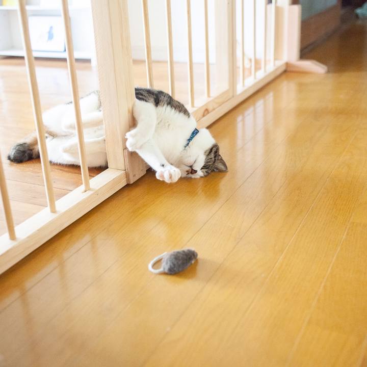 4f06b65a 8828 4767 9243 92f2fc9911bb 1556470912998