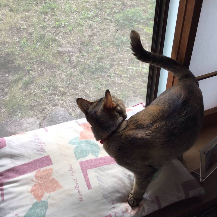 4f06bb2b 29b3 4a6b af44 f095b9f613b4 1585266940734