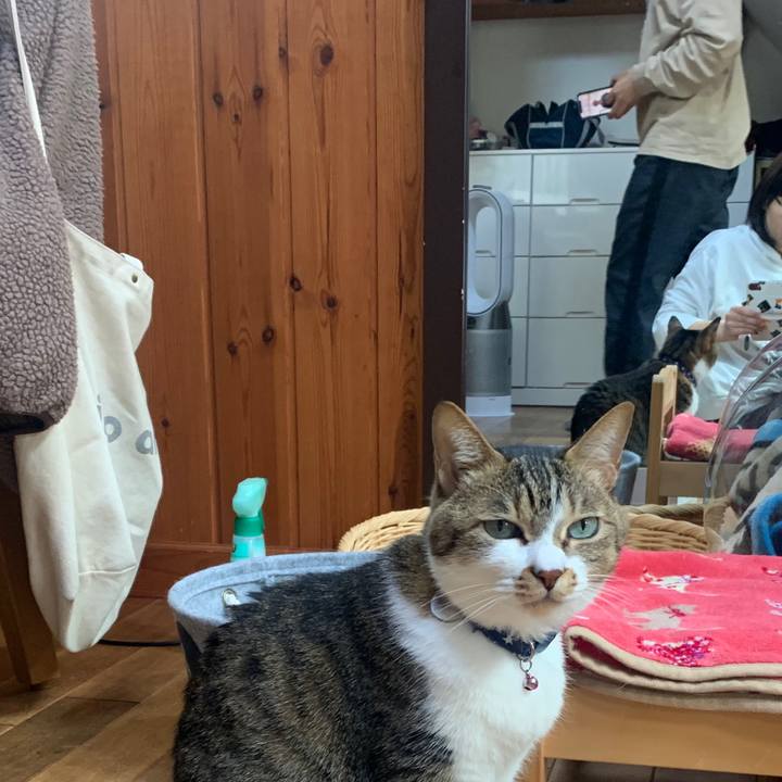 4f06cafc 438d 456d b13b e6abc6f0ce7b 1583672900373