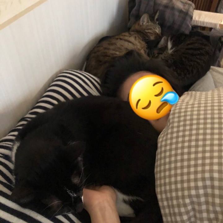 4f06e12f 70fd 4492 b6d8 2d82e462be85 1642454488696