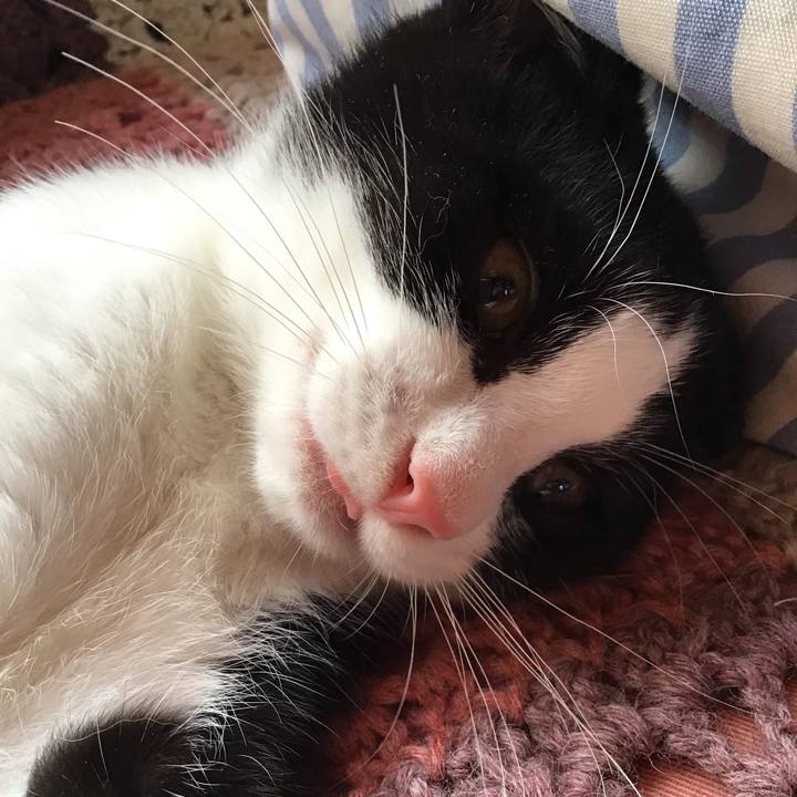 4f06f3a0 696c 4807 baf2 06a1beac9d9b 1626656516498