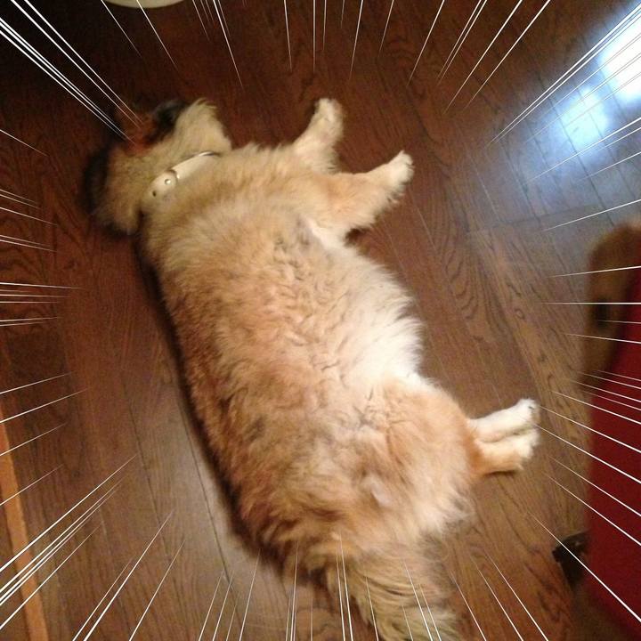 4f07459e b251 4a7b 9641 fd8b9aa780fb 1583094422929