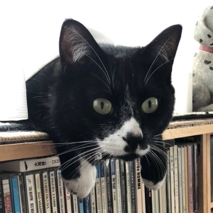 4f0771f1 8c3d 4a72 8149 761922231cc7 1558583032705