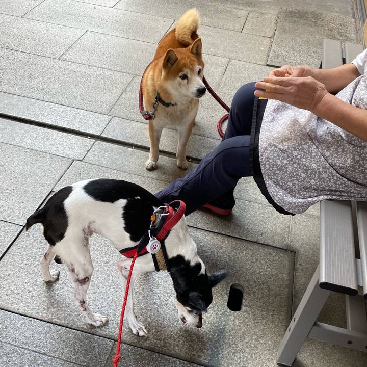 4f077ed1 a282 455f b2ec fa173e29bff6 1633771089440